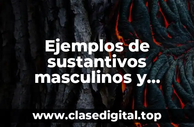 Ejemplos de sustantivos masculinos y femeninos