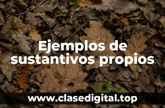 Ejemplos de sustantivos propios