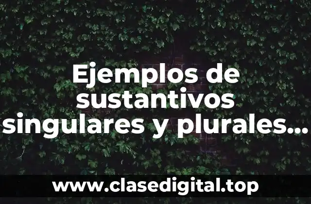 Ejemplos de sustantivos singulares y plurales en inglés
