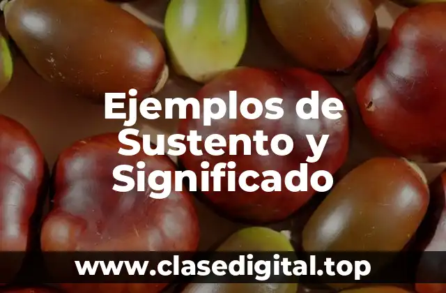 Ejemplos de Sustento y Significado