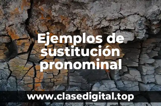 Ejemplos de sustitución pronominal