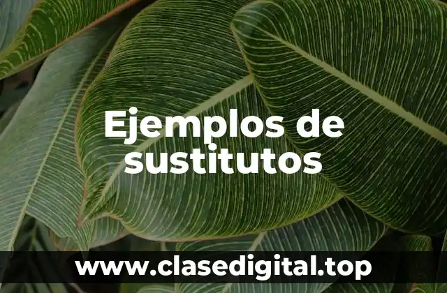 Ejemplos de sustitutos