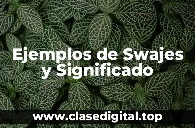 Ejemplos de Swajes y Significado
