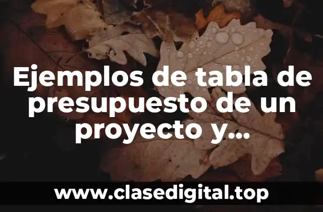 Ejemplos de tabla de presupuesto de un proyecto y Significado