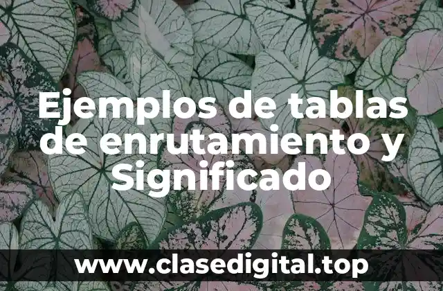 Ejemplos de tablas de enrutamiento y Significado