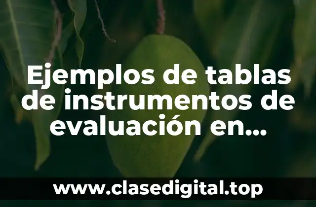 Ejemplos de tablas de instrumentos de evaluación en segundo grado