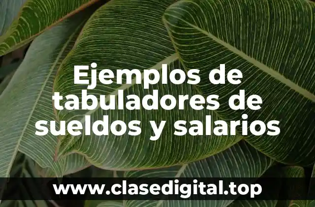 Ejemplos de tabuladores de sueldos y salarios