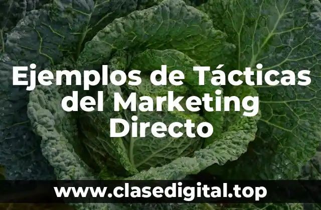 Ejemplos de Tácticas del Marketing Directo