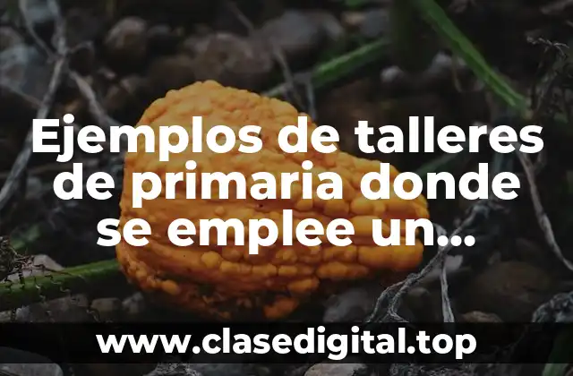 Ejemplos de talleres de primaria donde se emplee un recurso