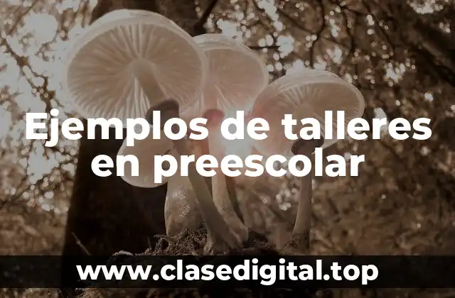 Ejemplos de talleres en preescolar