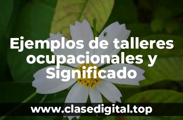 Ejemplos de talleres ocupacionales y Significado
