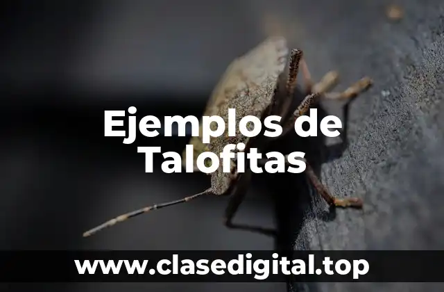 Ejemplos de Talofitas