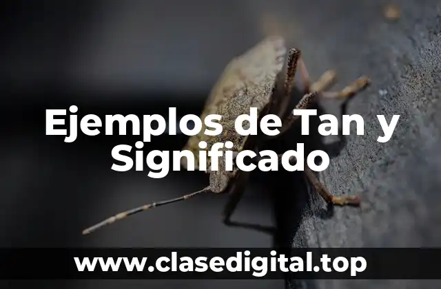 Ejemplos de Tan y Significado