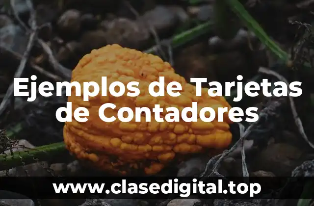 Ejemplos de Tarjetas de Contadores