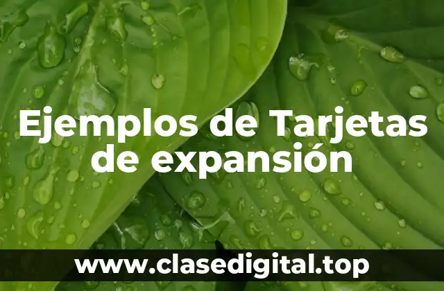 Ejemplos de Tarjetas de expansión