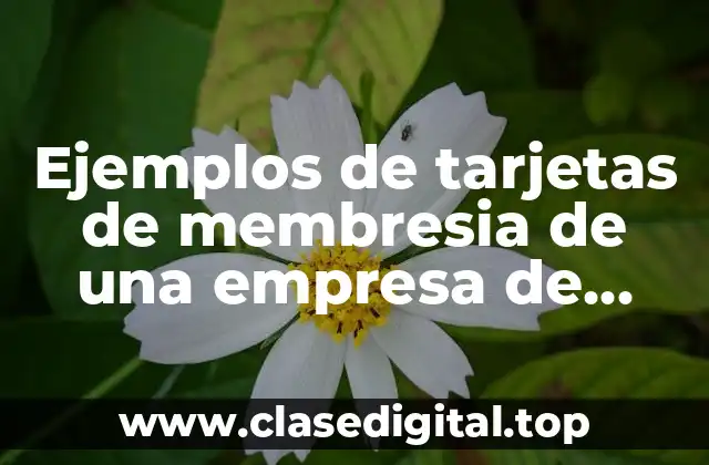 Ejemplos de tarjetas de membresia de una empresa de impulsa