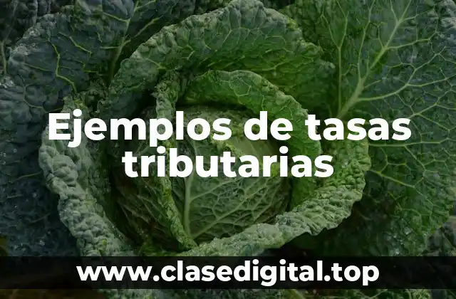 Ejemplos de tasas tributarias
