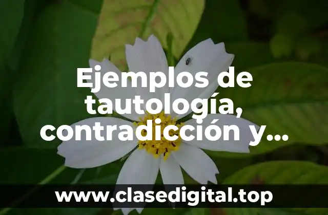 Ejemplos de tautología, contradicción y contingencia