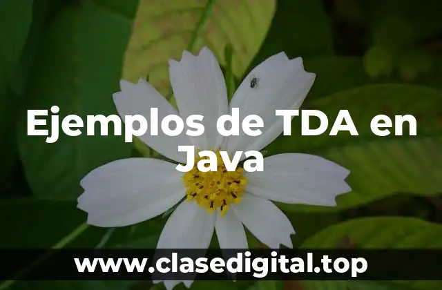 Ejemplos de TDA en Java