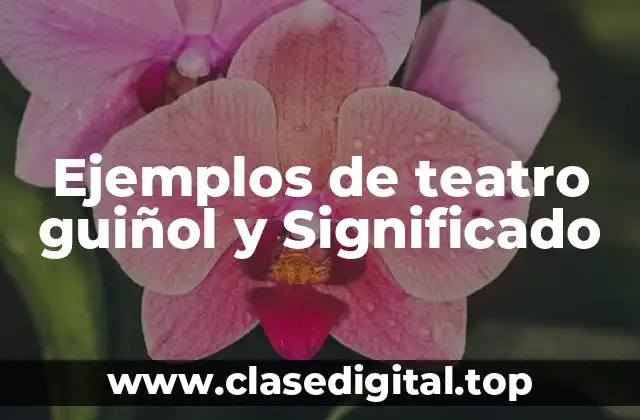 Ejemplos de teatro guiñol y Significado