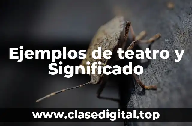 Ejemplos de teatro y Significado