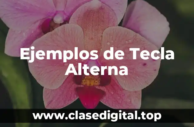 Ejemplos de Tecla Alterna