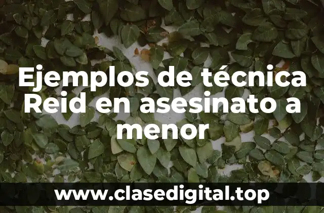 Ejemplos de técnica Reid en asesinato a menor