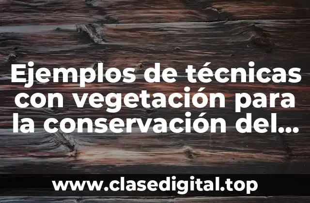 Ejemplos de técnicas con vegetación para la conservación del suelo