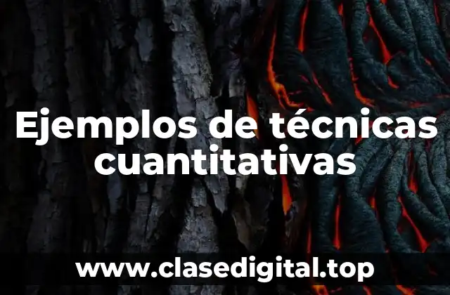 Ejemplos de técnicas cuantitativas