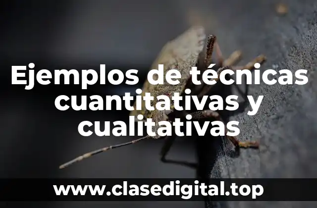 Ejemplos de técnicas cuantitativas y cualitativas