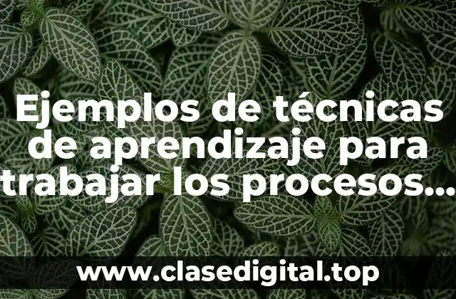 Ejemplos de técnicas de aprendizaje