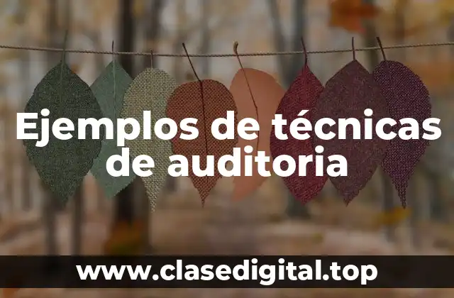 Ejemplos de técnicas de auditoria