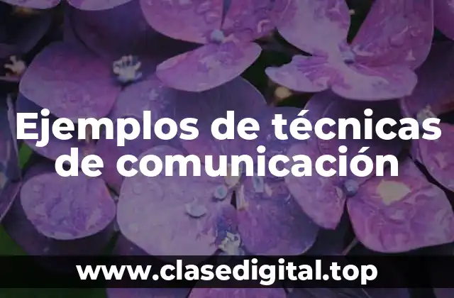 Ejemplos de técnicas de comunicación