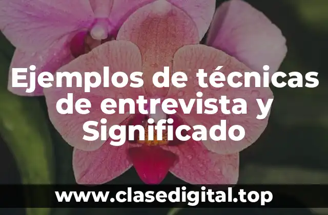 Ejemplos de técnicas de entrevista y Significado