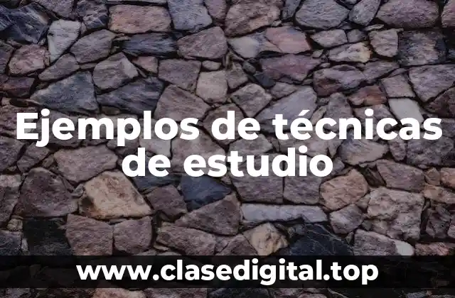 Ejemplos de técnicas de estudio