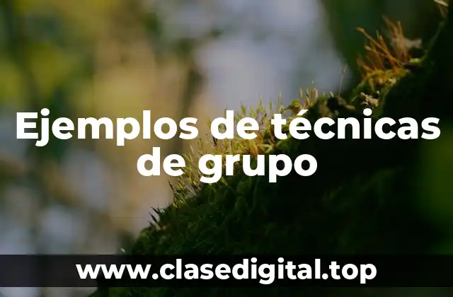 Ejemplos de técnicas de grupo