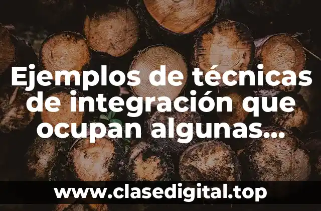 Ejemplos de técnicas de integración que ocupan algunas empresas