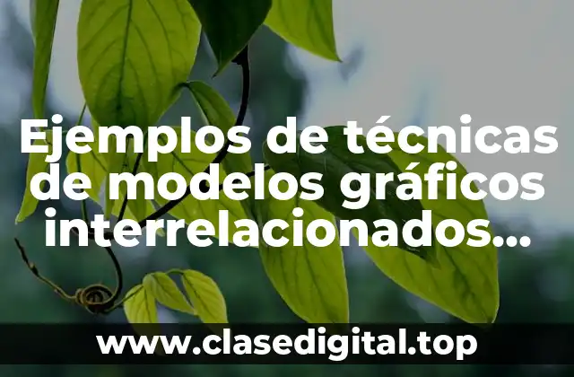 Ejemplos de técnicas de modelos gráficos interrelacionados pert