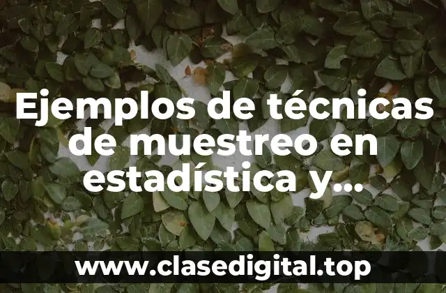 Ejemplos de técnicas de muestreo en estadística y Significado