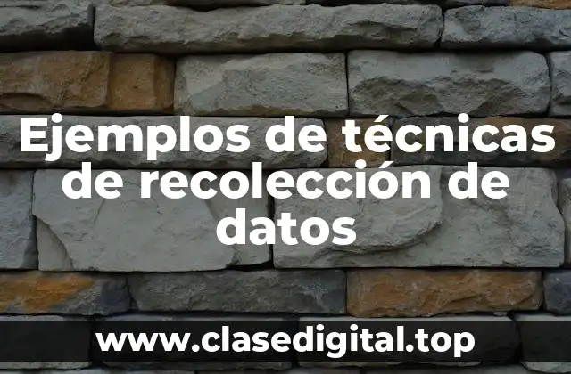 Ejemplos de técnicas de recolección de datos