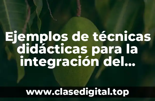 Ejemplos de técnicas didácticas para la integración del nuevo personal