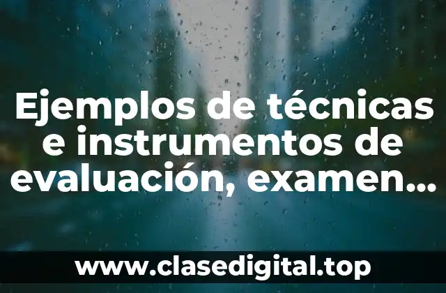 Ejemplos de técnicas e instrumentos de evaluación, examen, tareas y participación y Significado