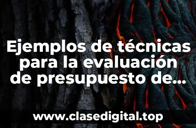 Ejemplos de técnicas para la evaluación de presupuesto de capital