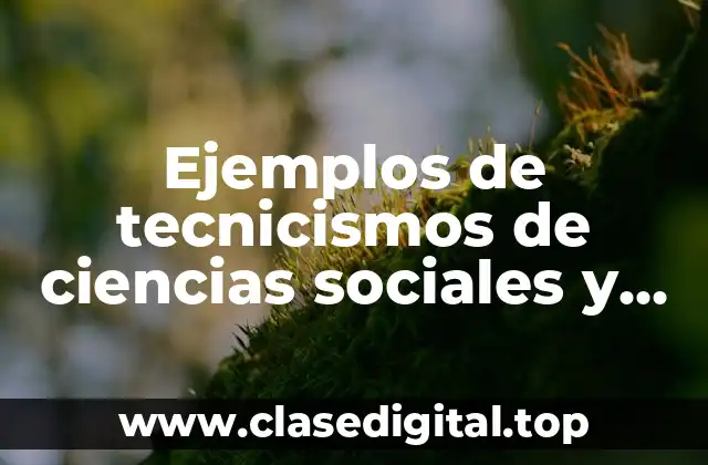 Ejemplos de tecnicismos de ciencias sociales y Significado