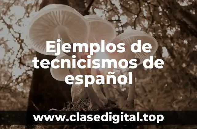 Ejemplos de tecnicismos de español