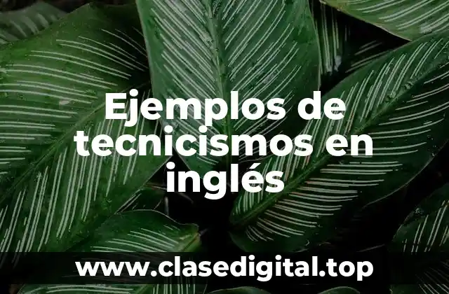 Ejemplos de tecnicismos en inglés