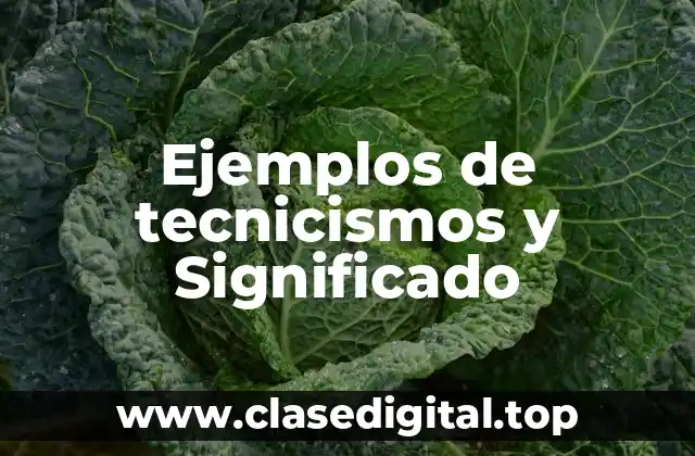Ejemplos de tecnicismos y Significado