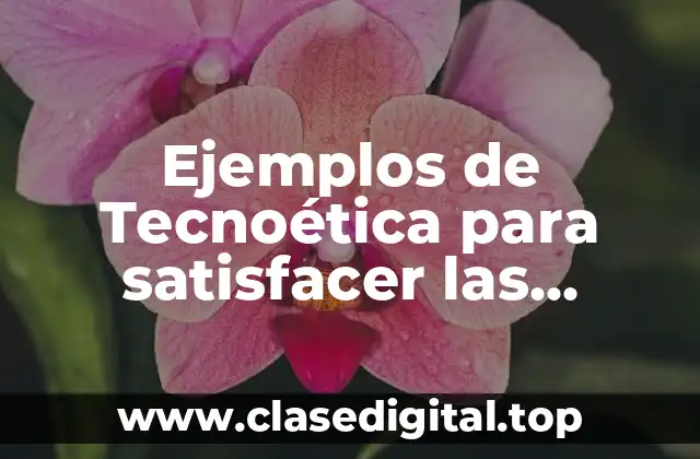 Ejemplos de Tecnoética para satisfacer las necesidades humanas y Significado