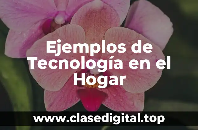 Ejemplos de Tecnología en el Hogar