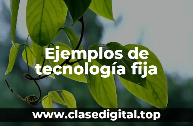 Ejemplos de tecnología fija